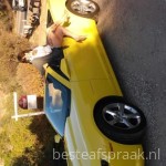 Profile picture of Alycia53